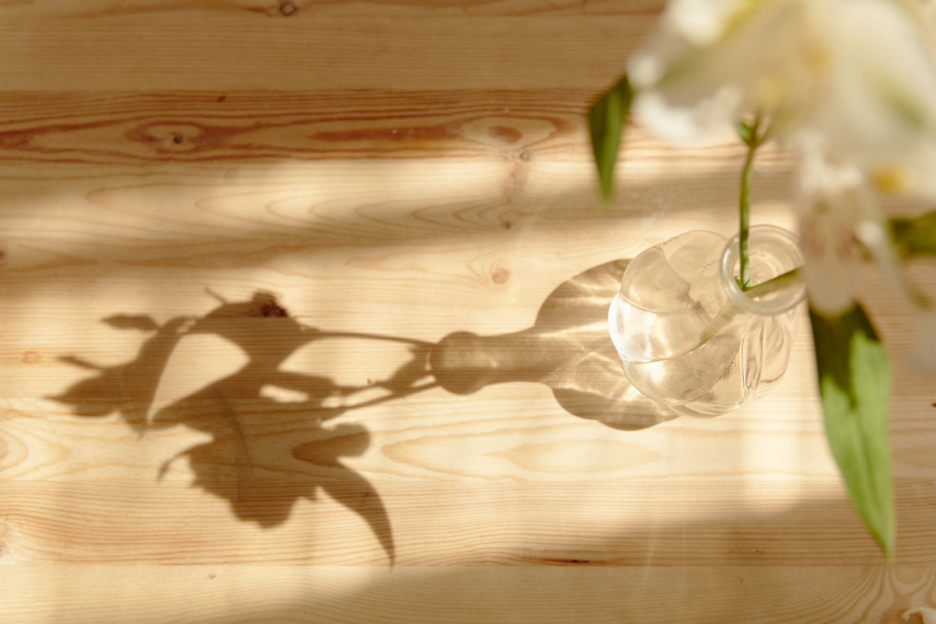 A flower vase on a wooden surface casts a unique shadow in soft sunlight.