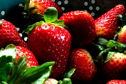 Free stock photo of strawberries
