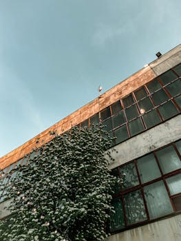 A low-angle view of a modern building facade with snow on the tree branches.