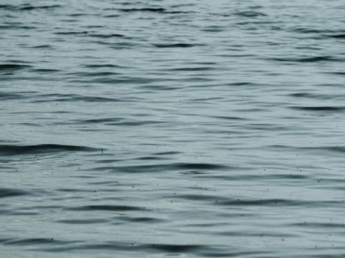 бесплатная Бесплатное стоковое фото с вода, крупный план, море Стоковое фото