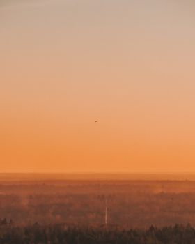 A paraglider soars above a foggy forest during a serene sunrise, capturing nature's tranquility.