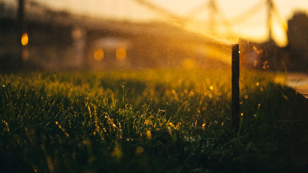 Wright Way Irrigation
