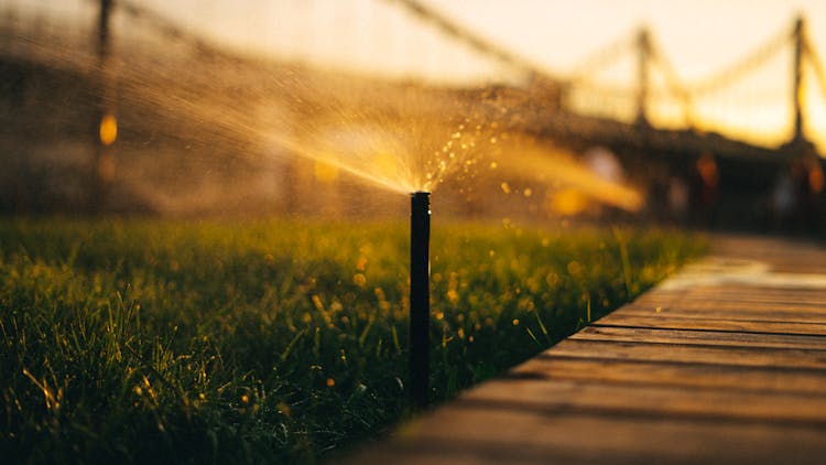 Photo Of A Sprinkler Near The Grass