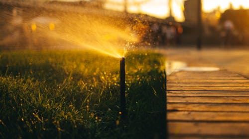 Kostenloses Stock Foto zu gras, sonnenuntergang, wasser