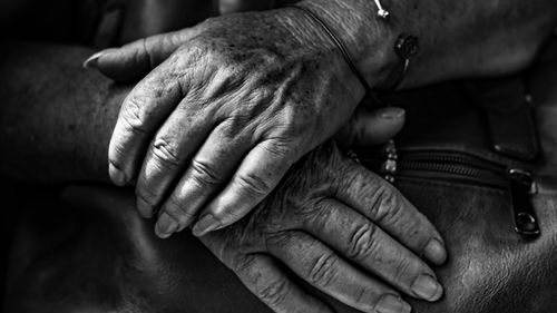 Free Detailed monochrome image of elderly hands showing age and experience. Stock Photo