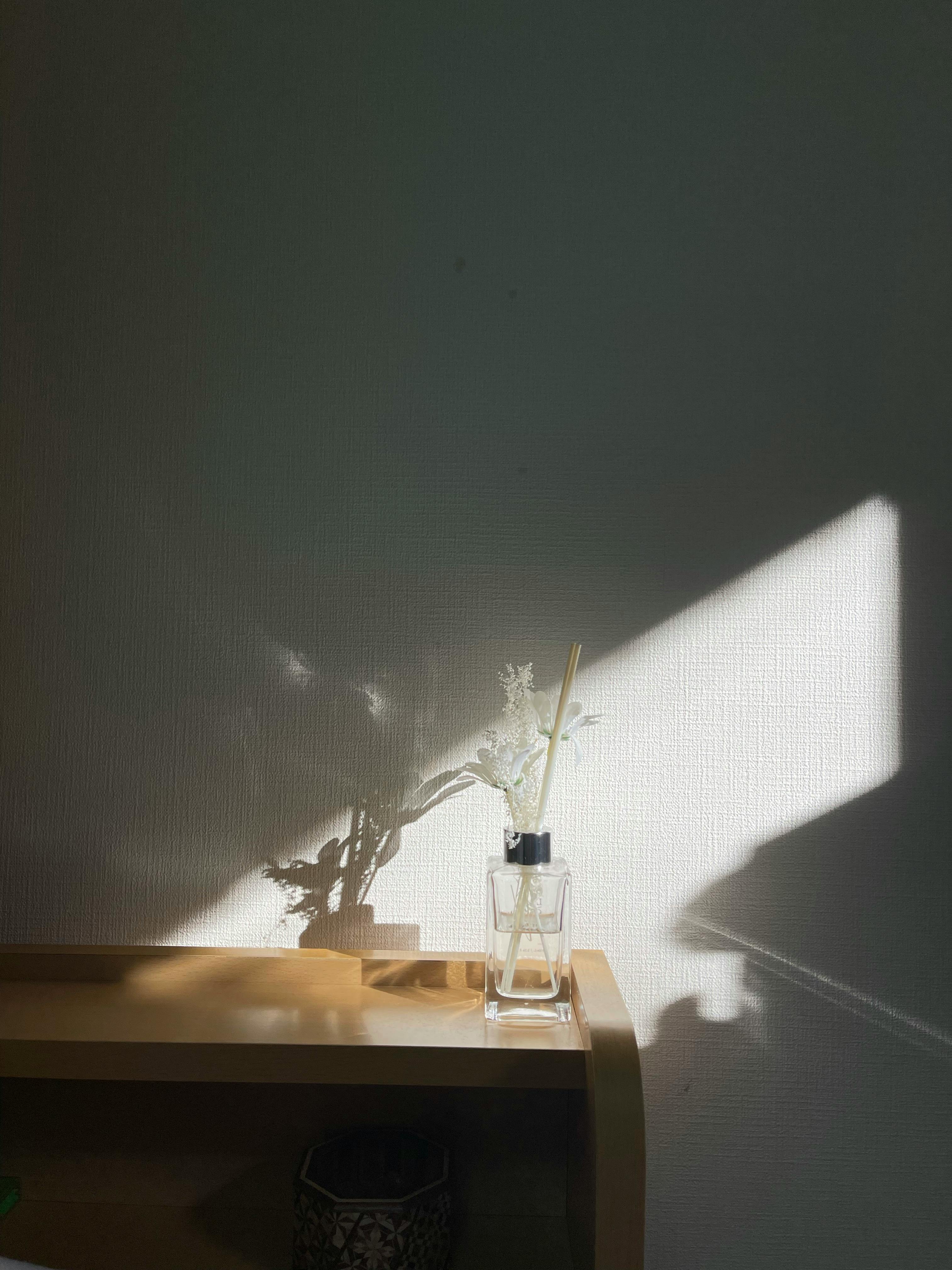 A glass vase casting a dramatic shadow on a wall, creating a minimalist aesthetic.