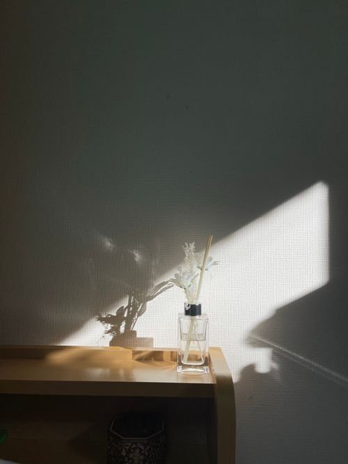 Free A glass vase casting a dramatic shadow on a wall, creating a minimalist aesthetic. Stock Photo