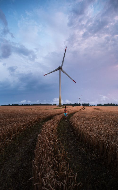 Man Standing on an Unpaved Pathway in a Agricultural Land Close to a Wind Turbine