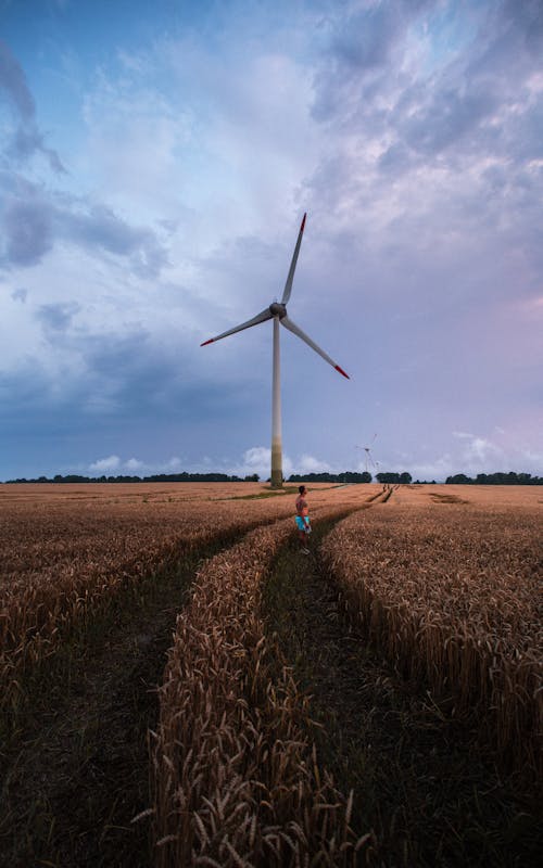 Photos gratuites de ciel, debout, énergie alternative