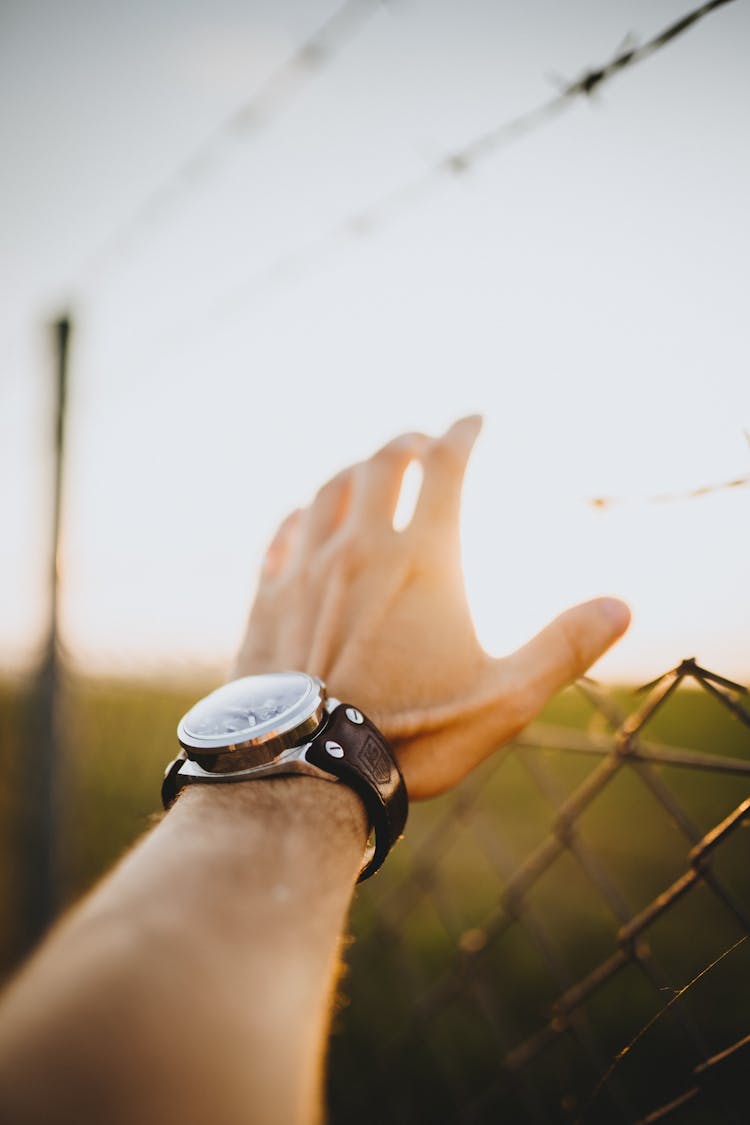 Person's Hand Wearing Black And Silver Watch 