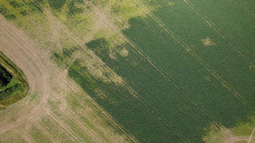 农业用地, 無人空拍機, 綠色 的 免费素材图片