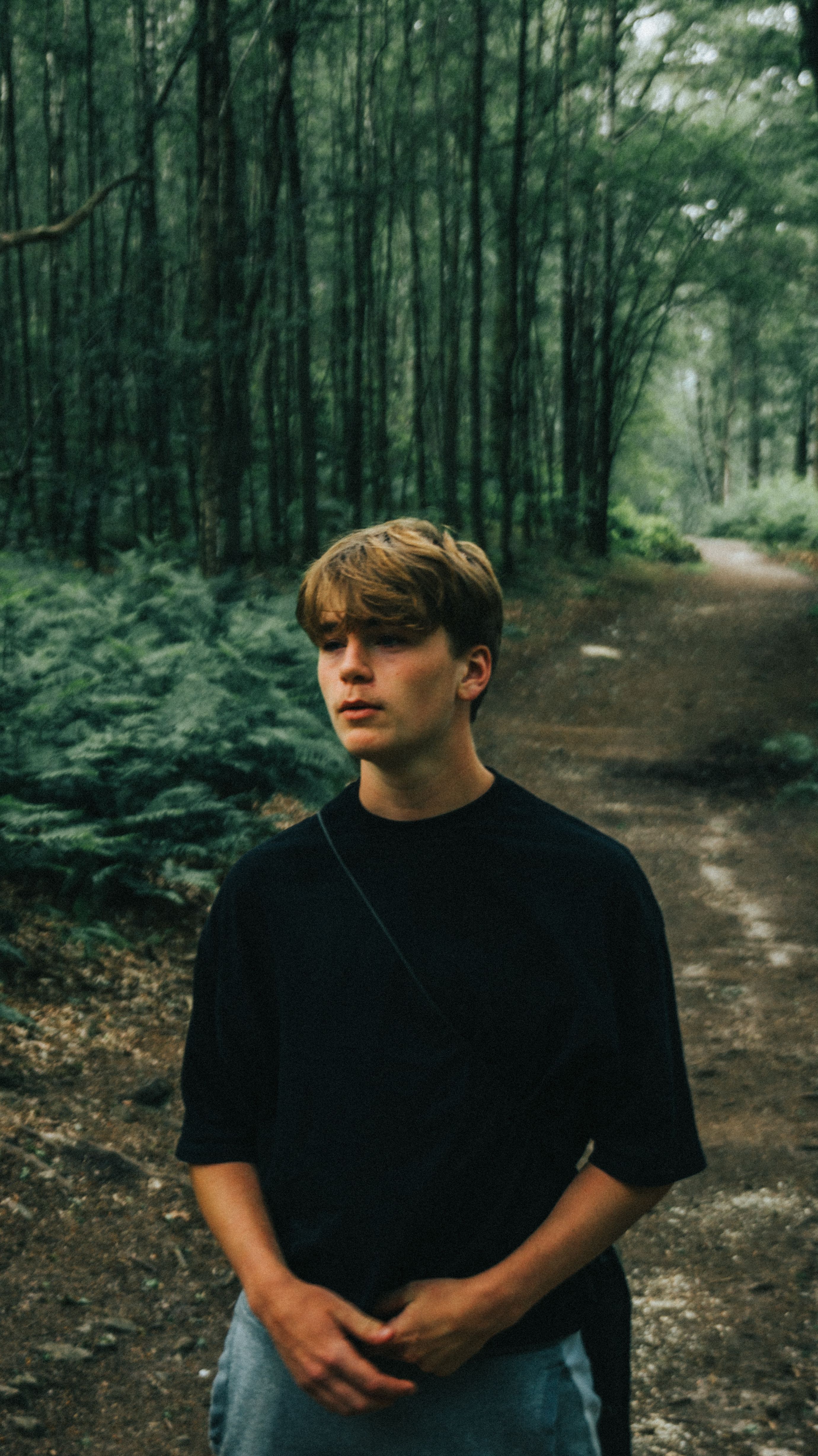 A Man in a Forest · Free Stock Photo