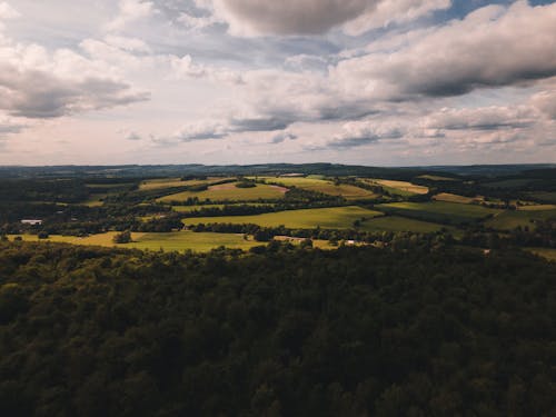 Kostnadsfri bild av drönarbilder, flygfoto, grön