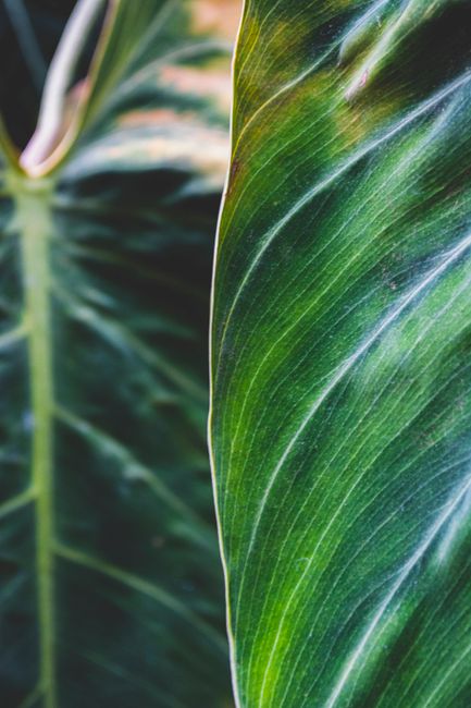 Photo by Luci on pexels