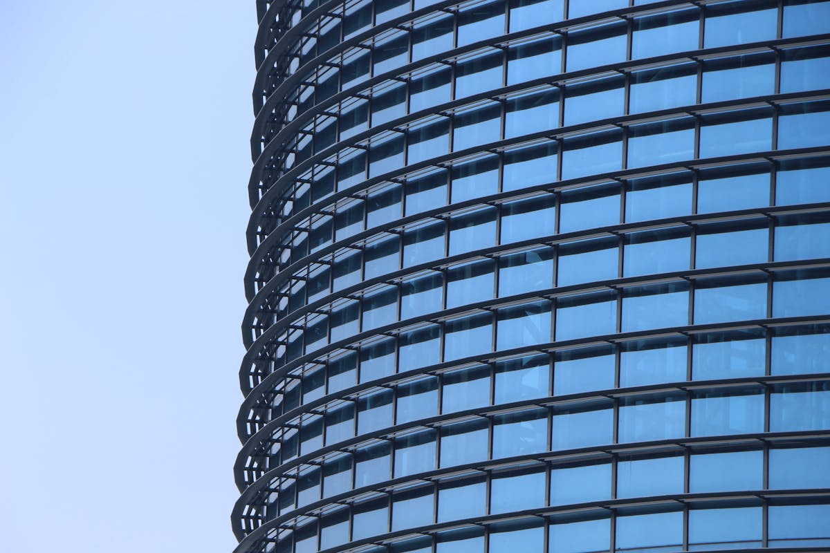 Berries, nuts, and dark chocolate arranged on a board