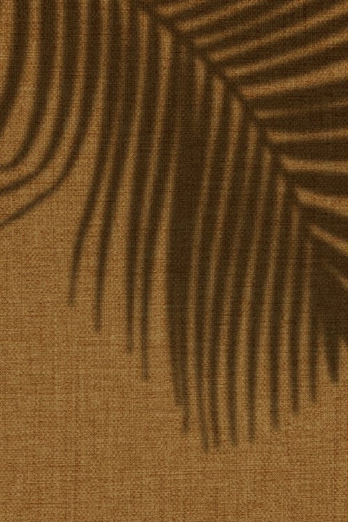 Free Shadows of Palm Leaves on Brown Background Stock Photo
