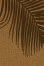 Shadows of Palm Leaves on Brown Background
