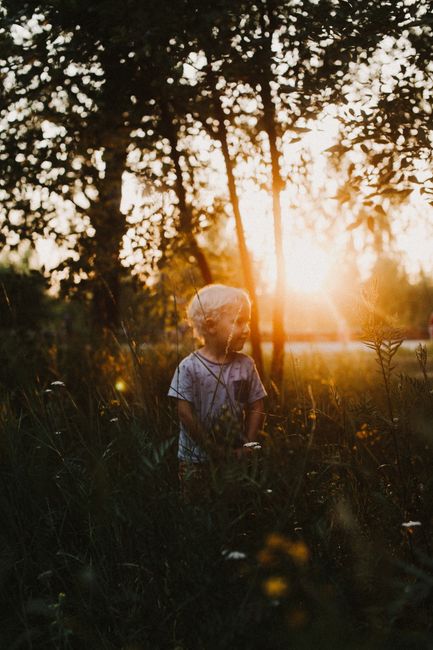 A young boy stands in a sunlit field, surrounded by trees and grass on a beautiful day.