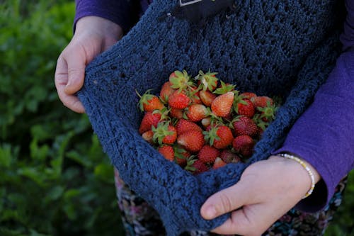 Gratis stockfoto met aardbeien, doek, fris