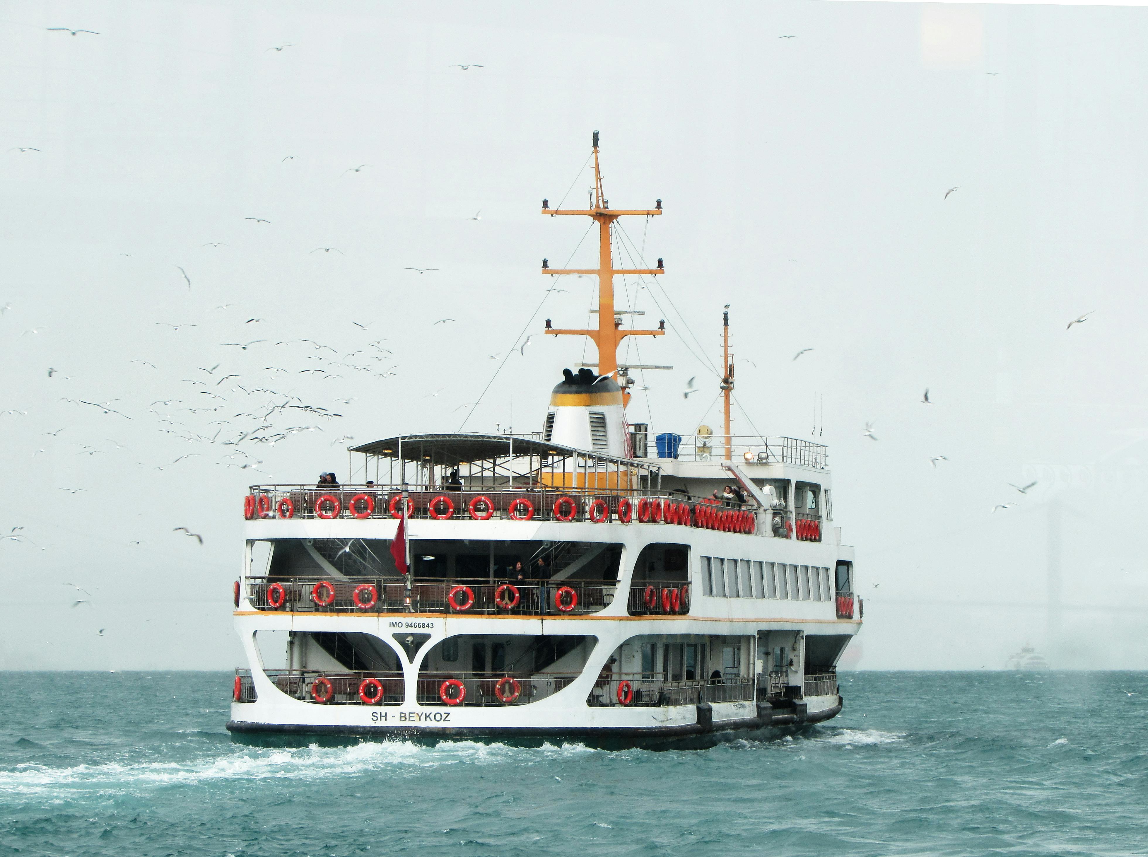 white ship traveling through vast body of water with white birds flying beside