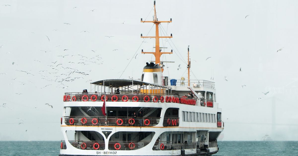 Rüyada Vapurla Geziye Çıkmak - Rüya Tabiri ve Anlamı - A white ferry transports passengers across the blue sea surrounded by seagulls under a light sky.