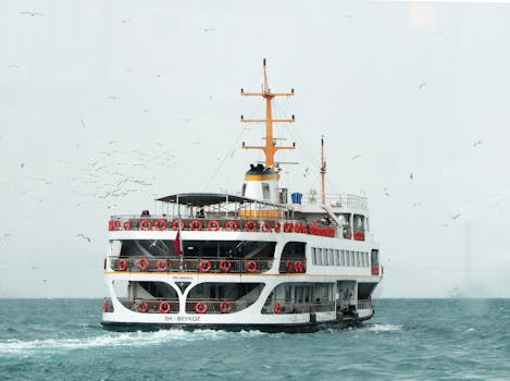 一艘白色渡轮载着乘客，在蓝天下穿越海鸥环绕的蔚蓝大海