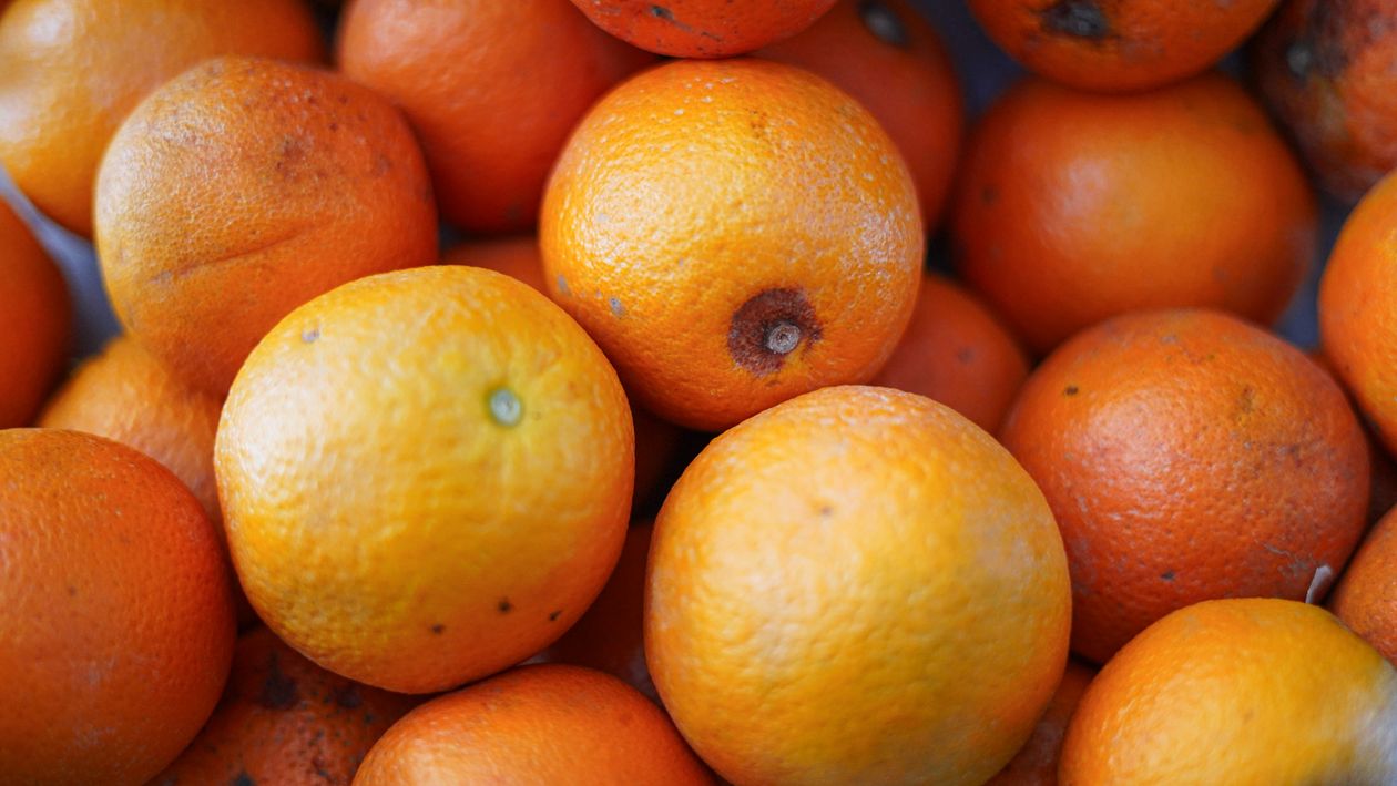 Aranjas Close-Up Photo of Orange Fruits · Free Stock Photo