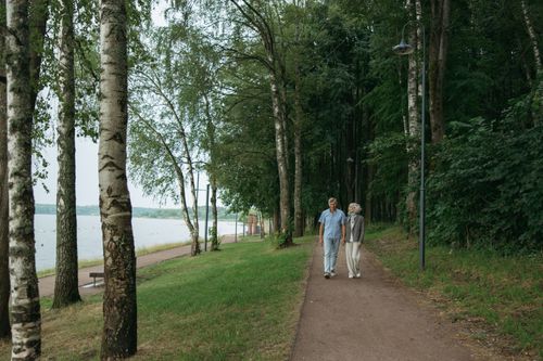 Free A senior couple enjoys a peaceful walk along a tree-lined path in a serene park setting. Stock Photo