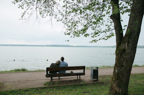 Kostenloses Stock Foto zu ältere menschen, älterer erwachsener, altes paar