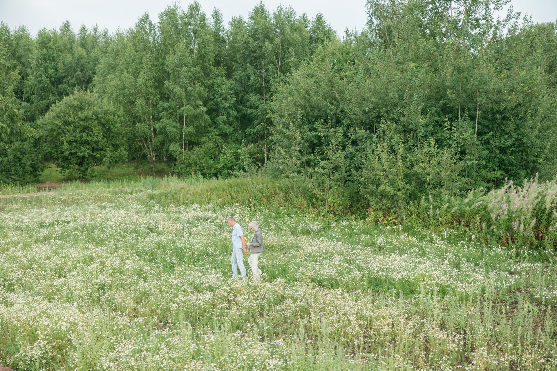 Senior couple walking hand in hand through a serene wildflower field surrounded by lush green forest.