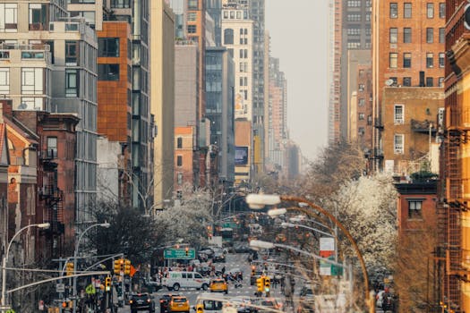 Bustling street view in New York City with high-rise buildings and spring foliage.