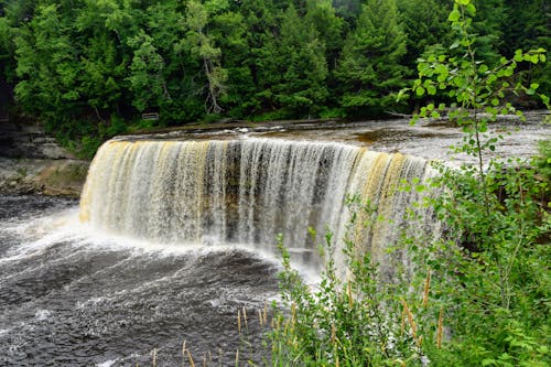 Free stock photo of tahquamenon falls, trees, waterfalls