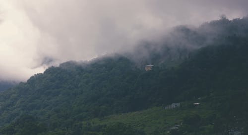 무료 안개 구름과 숲의 항공 사진 스톡 사진