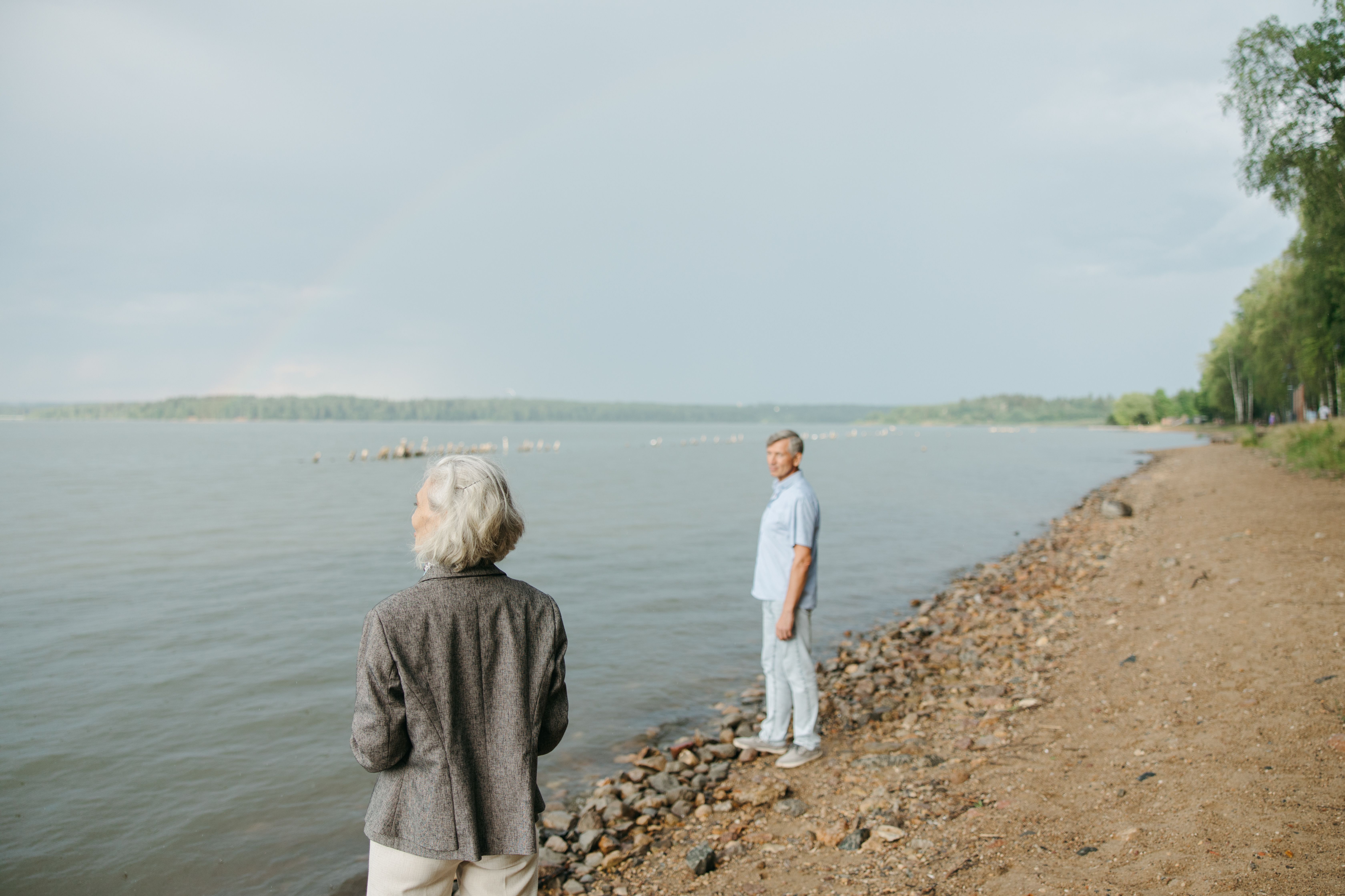 How Will AI Affect Financial Planning for Retirement? — Photo by Anastasia  Shuraeva on Pexels
