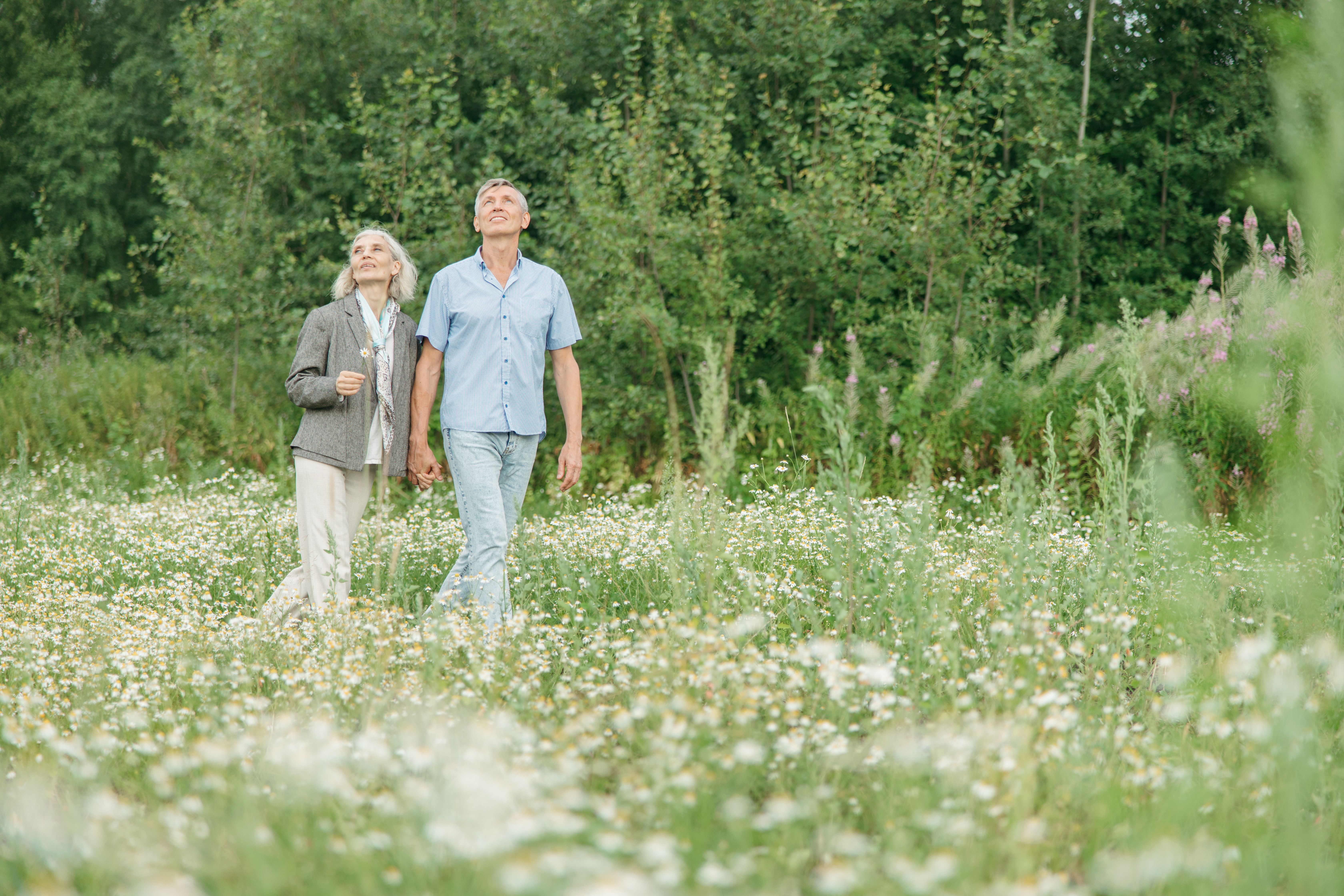 Altersvorsorge und Pensionsplanung