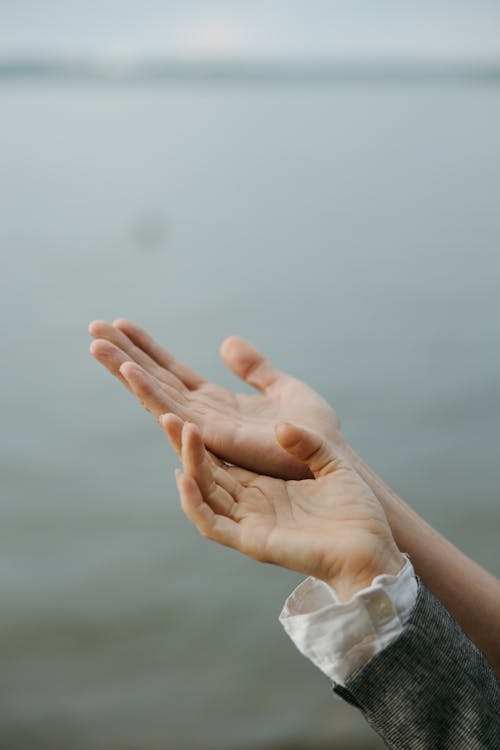 Free Photo of People's Open Hands Stock Photo
