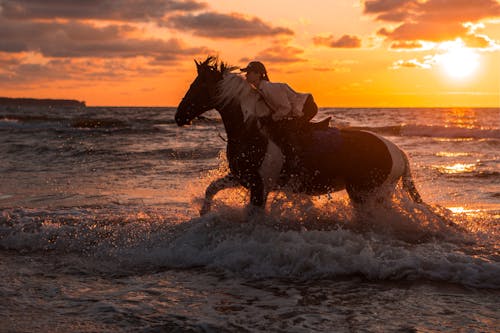 Equestrian riding a Horse on Seashore during Sunset 