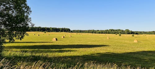 Free stock photo of green field, hay field, hay roll