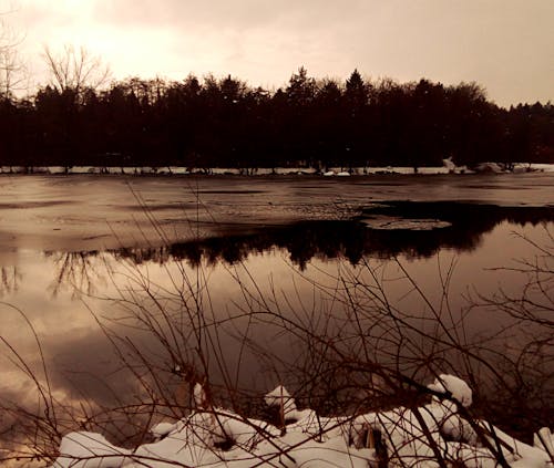 Základová fotografie zdarma na téma sníh