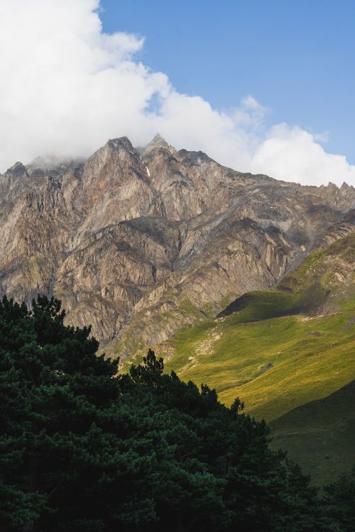 Free Stunning view of rocky mountain peaks against a blue sky, framed by lush greenery. Stock Photo