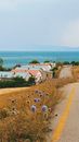 Houses near Sea
