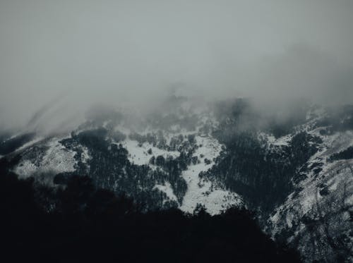 бесплатная Бесплатное стоковое фото с Аэрофотосъемка, деревья, зима Стоковое фото