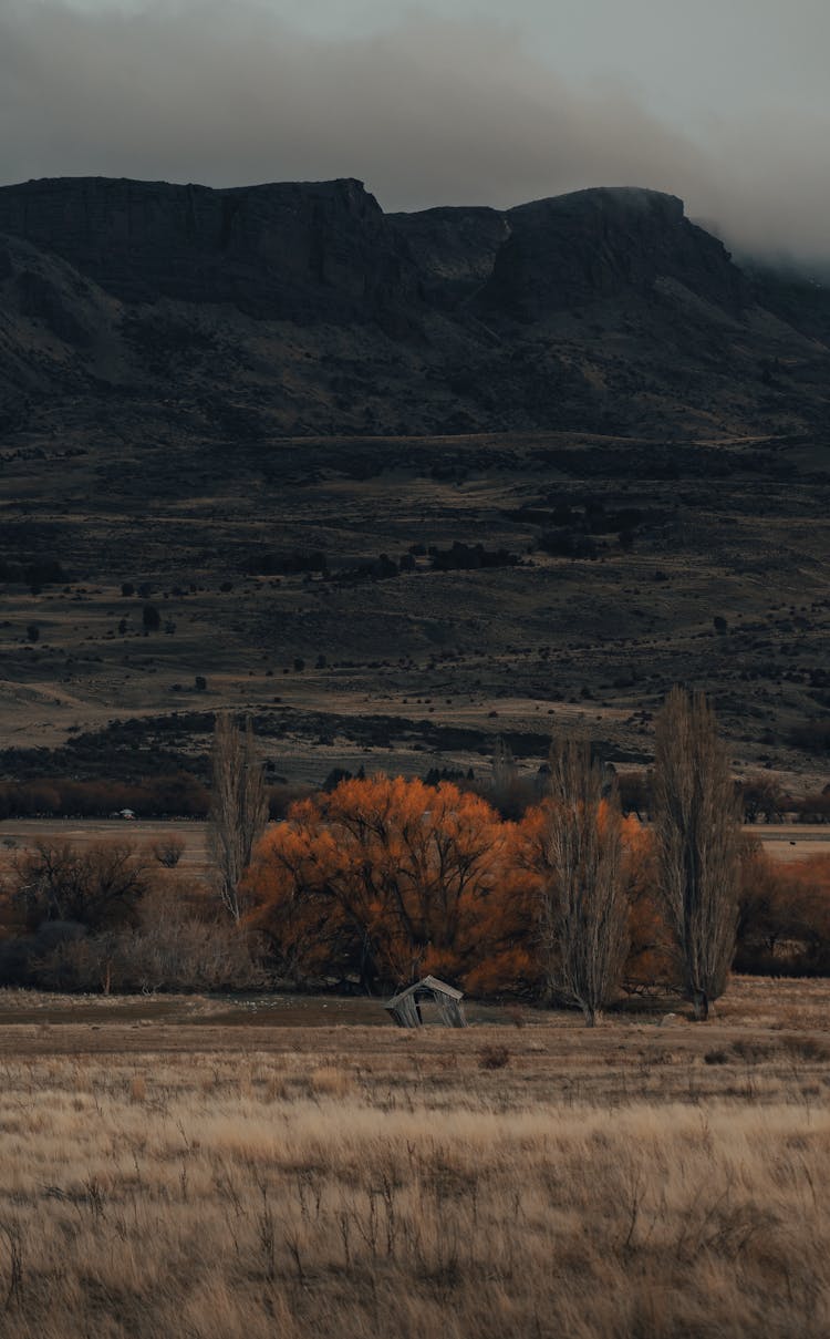 Shed In Field Among Grasslands