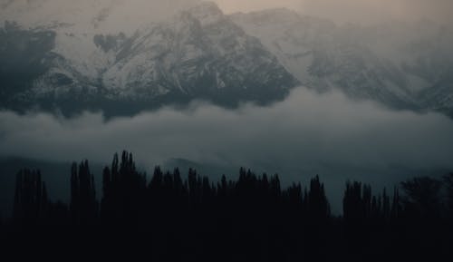 Foto profissional grátis de Alpes, árvores, clima