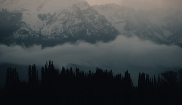 A misty landscape featuring snow-capped mountains and a silhouetted forest in the foreground, creating a serene atmosphere.