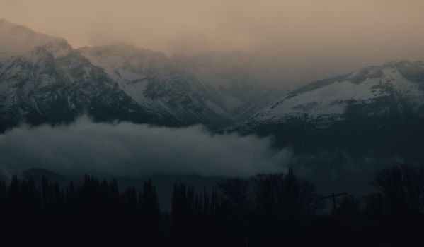 Atmospheric view of snow-capped mountains shrouded in fog at twilight with silhouetted trees.