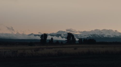 Free Peaceful mountain view at twilight with snow and silhouette of trees. Stock Photo
