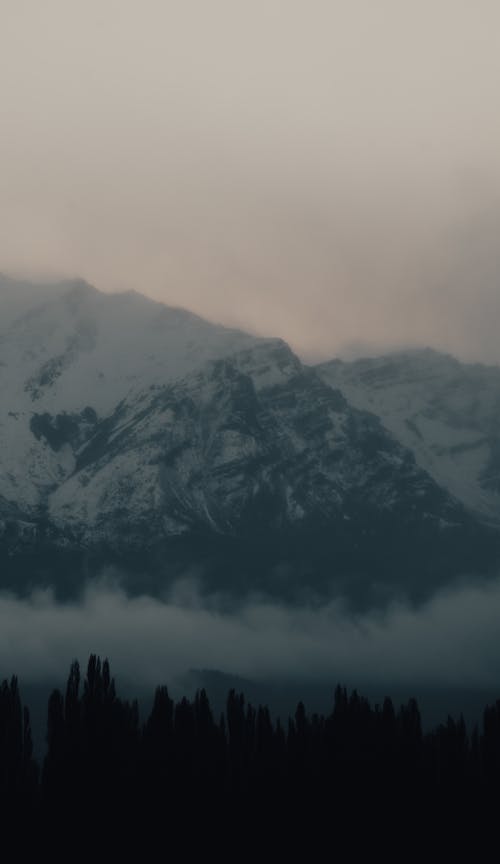 Snow Covered Mountain Near Silhouetted Trees