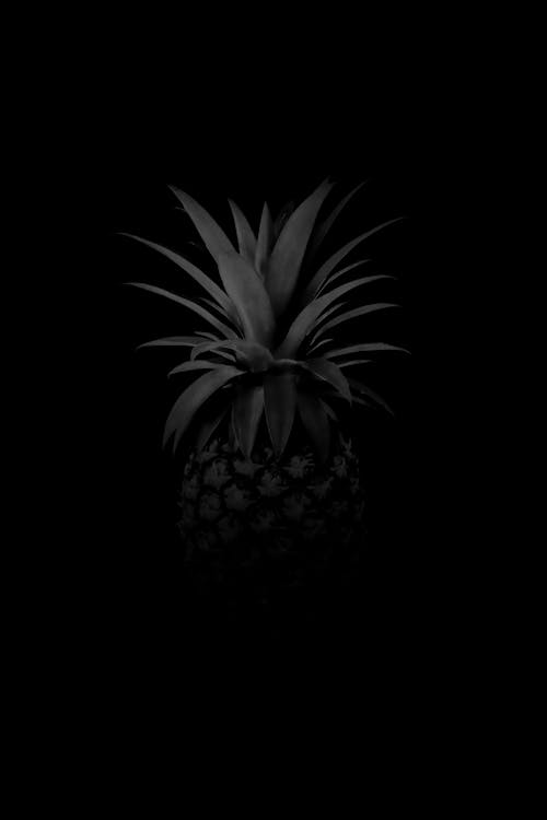 Bezpłatne Darmowe zdjęcie z galerii z ananas, ciemny, liście Zdjęcie z galerii