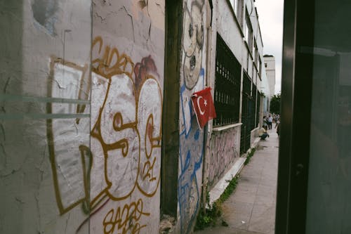 Základová fotografie zdarma na téma budova, grafitti, krocan
